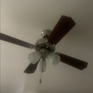 Meet your Posher, Luis